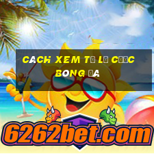 cách xem tỷ lệ cược bóng đá