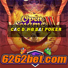 các dạng bài poker