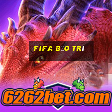 fifa bảo trì