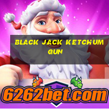 black jack ketchum gun