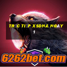 Trực tiếp XSDNA ngày 1