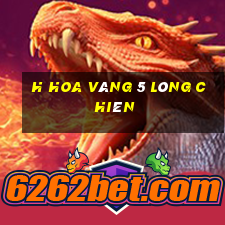 h Hoa vàng 5 lông chiên