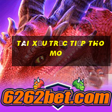 tài xỉu trực tiếp thomo