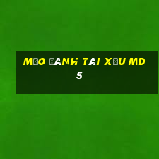 mẹo đánh tài xỉu md5