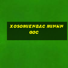 xosomienbac minhngoc