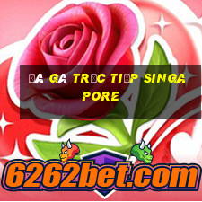 đá gà trực tiếp singapore