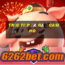 trực tiếp đá gà ở casino