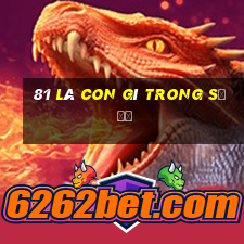 81 là con gì trong số đề