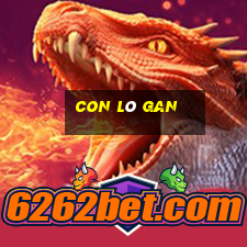 con lô gan