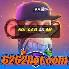 soi cau 88 sh