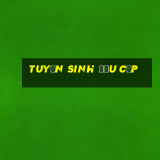 tuyển sinh đầu cấp