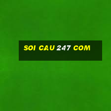 soi cau 247 com