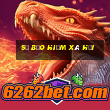 sổ bảo hiểm xã hội