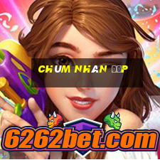 chùm nhãn đẹp