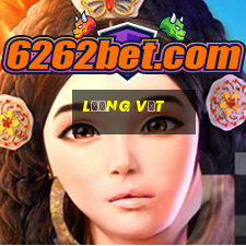 lương vịt