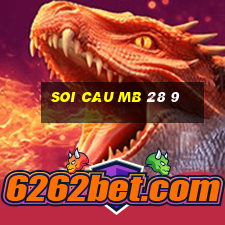 soi cau mb 28 9