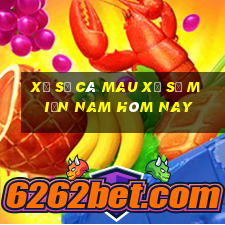 xổ số cà mau xổ số miền nam hôm nay