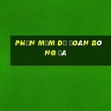 phần mềm dự đoán bóng đá