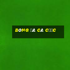 bóng đá cá cược