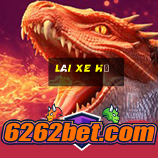 lái xe hộ