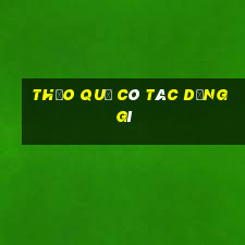 thảo quả có tác dụng gì