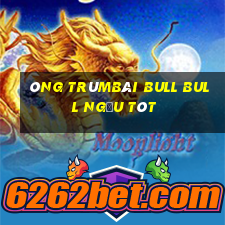 Ông trùmBài bull bull ngưu tót