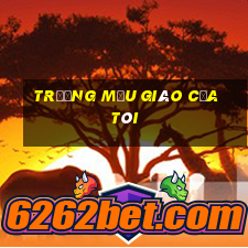 trường mẫu giáo của tôi