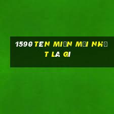 1590 Tên miền mới nhất là gì