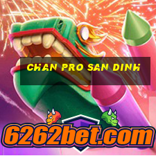 chan pro san dinh