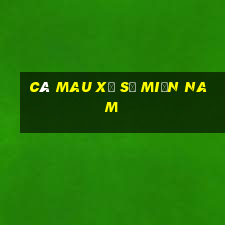 cà mau xổ số miền nam