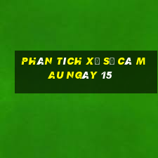 Phân tích Xổ Số Cà Mau ngày 15