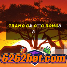 trang cá cược bong88