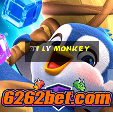 đại lý monkey