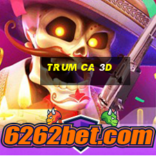 trum ca 3d