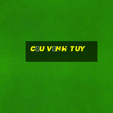 cầu vĩnh tuy