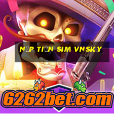 nạp tiền sim vnsky