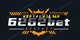 kèo 1 4 lựa là sao