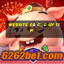 website cá cược uy tín