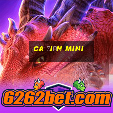 ca điện mini