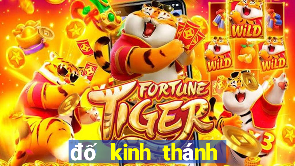 đố kinh thánh tin lành