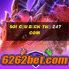 soi cầu bạch thủ 247 com