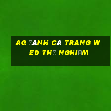 ag đánh cá trang wed thử nghiệm