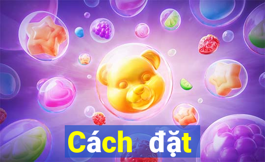 Cách đặt cược XSKT ngày 16