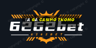 đá gà casino thomo