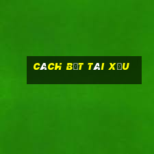 cách bắt tài xỉu