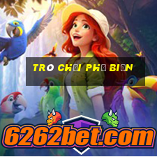 Trò chơi phổ biến