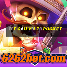 Đặt câu với từ pocket