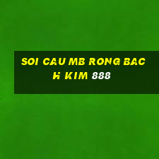 soi cau mb rong bach kim 888