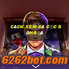 cách xem cá cược bóng đá