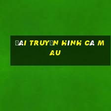 đài truyền hình cà mau